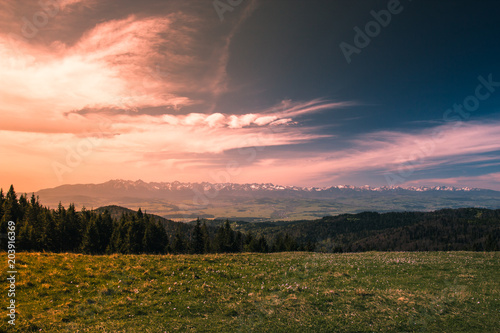 A very beautiful landscape with a valley and a forest, in the distance is seen a high mountain chain covered with snow at sunset, red sky