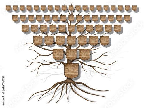 family tree illustration