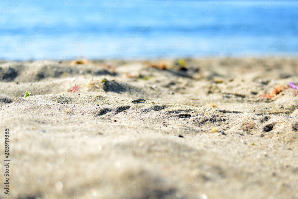 beach for product photography beach for product photography