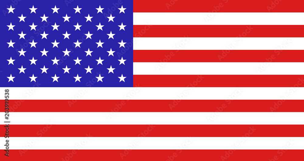 Naklejka premium vector flag usa