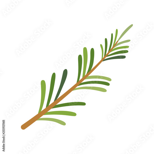 Rosemary icon. Herbs and spices