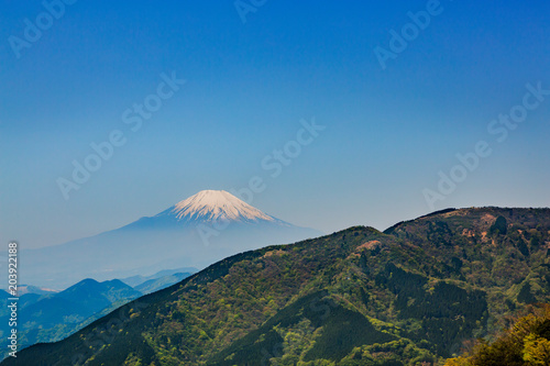 新緑の山と富士山
