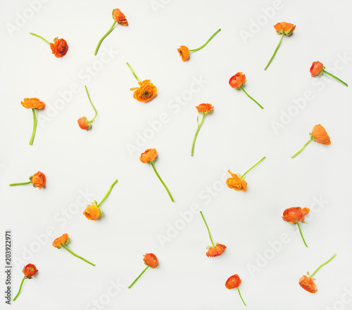 Floral texture, pattern or wallpaper. Flat-lay of bright orange ranunculus flowers over white background, top view, horizontal composition. Greeting card or wedding invitation concept