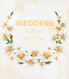 Chamomile flowers Wedding wreath card Vector. Beautiful spring frame vintage styles