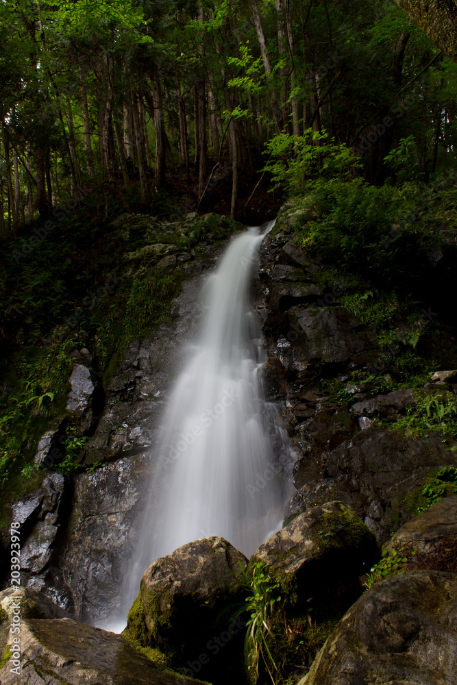 Naklejka premium Dolina Atera / wioska Okuwa, prefektura Nagano