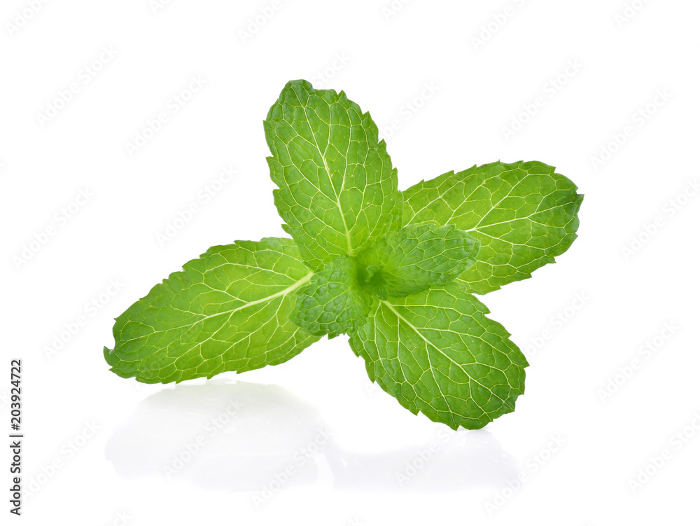 Mint leaves isolated on white background.