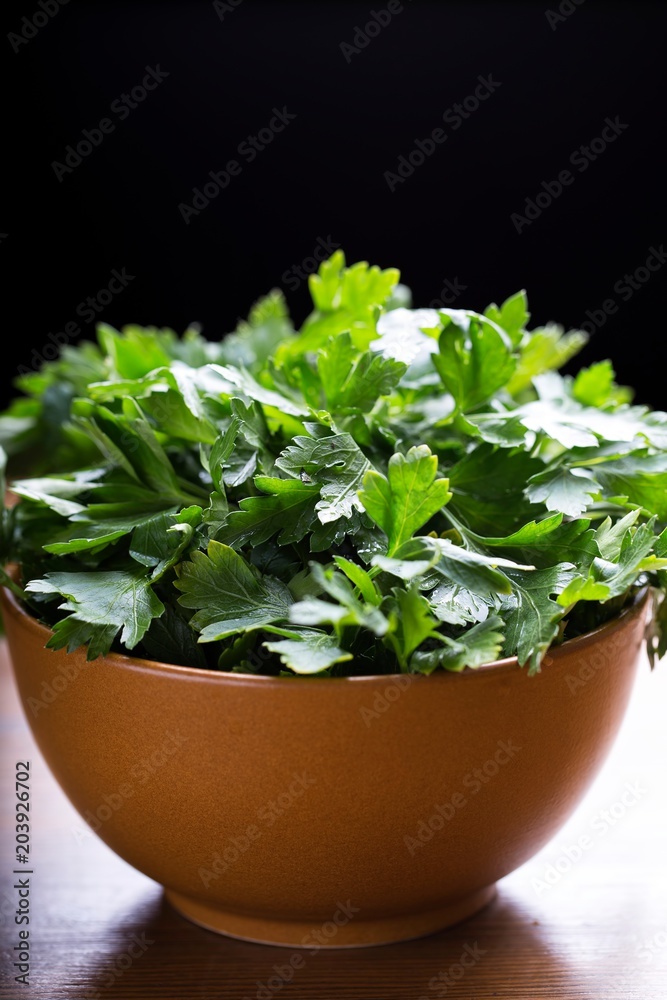 Fototapeta premium Green parsley. Fresh green parsley on the wooden table