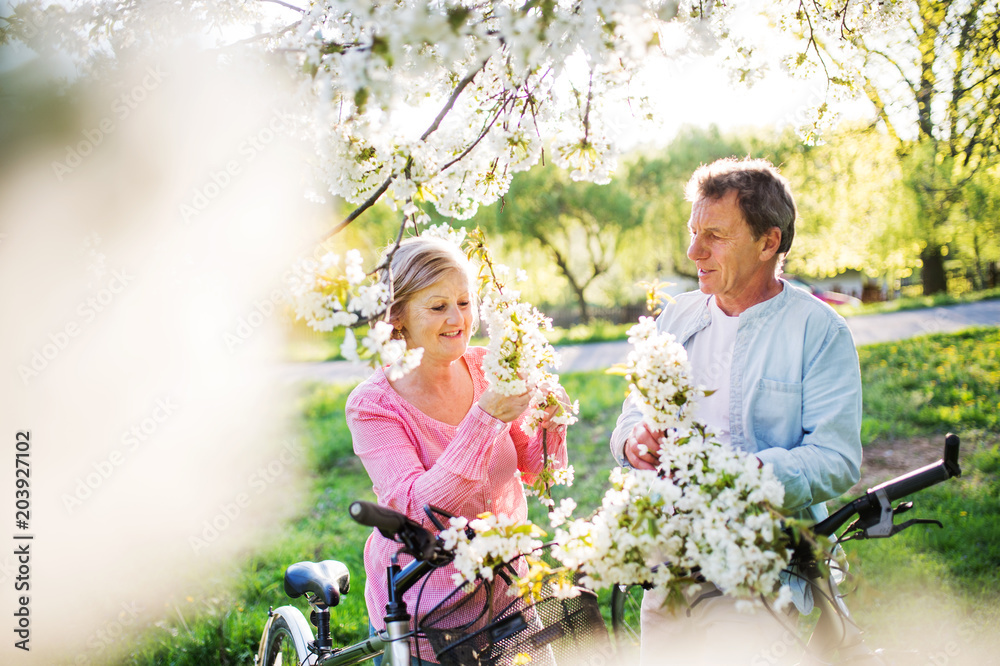 Beautiful senior couple with bicycles outside in spring nature. Beautiful senior couple with bicycles outside in spring nature.