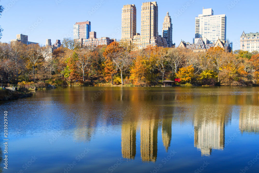 Naklejka premium Nowy Jork, Central Park