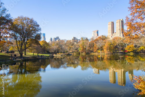 New York, Central Park © Alessandro Lai