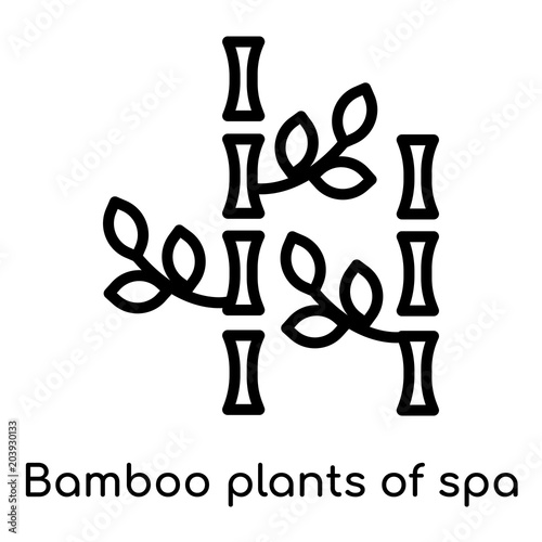 Bamboo plants of spa icon isolated on white background