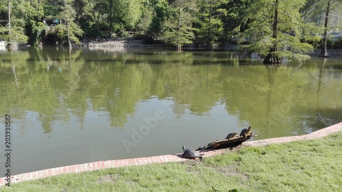 sunny day in the retiro park of madrid in the middle of the green