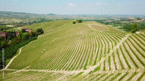 Panorama aereo delle vigne delle colline delle Langhe del Piemonte