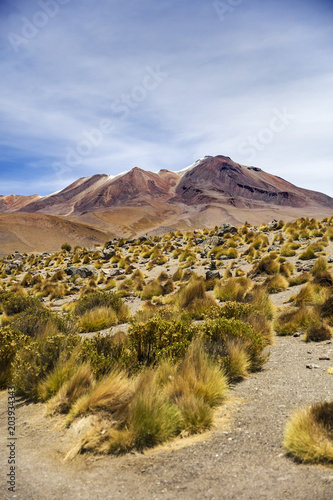 Laguna Colorada in Bolivia