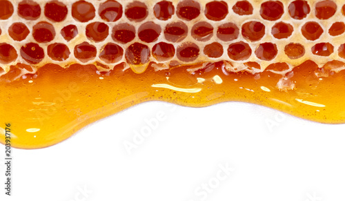 honey and honey comb with wooden stick