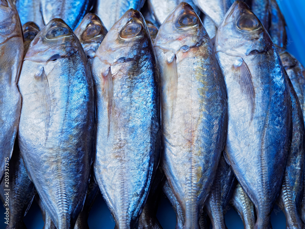 Fototapeta premium Fish mackerel in asia Thai.