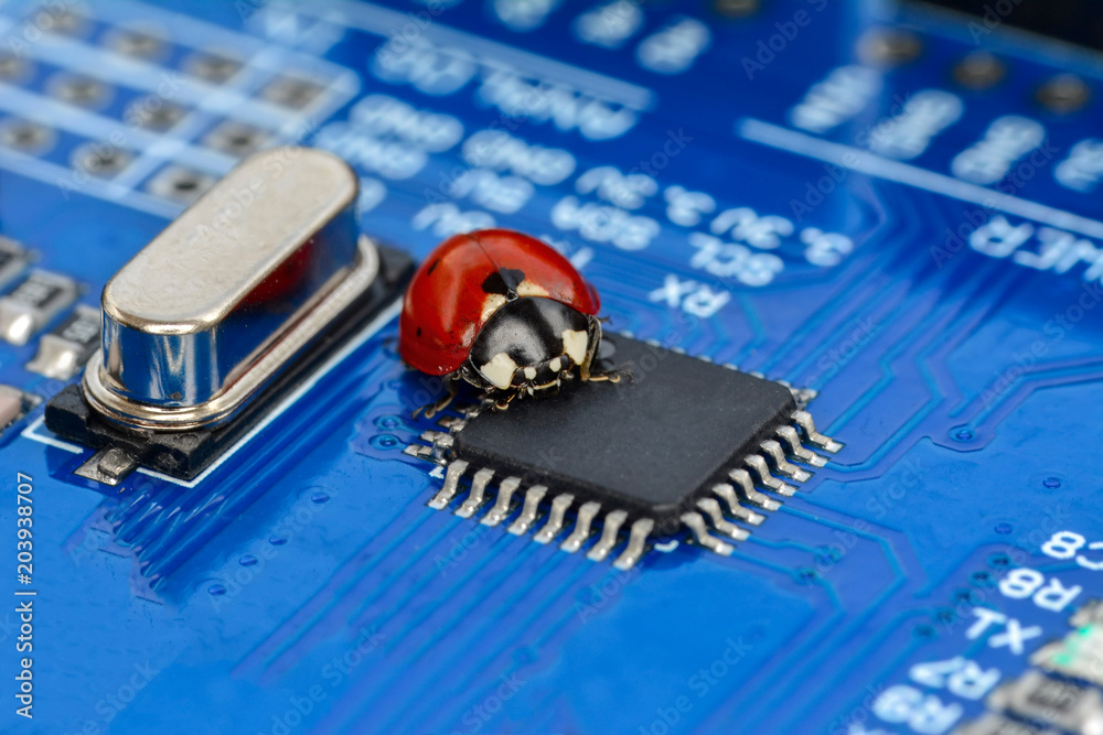 Ladybug and Circuit board background Ladybug and Circuit board background
