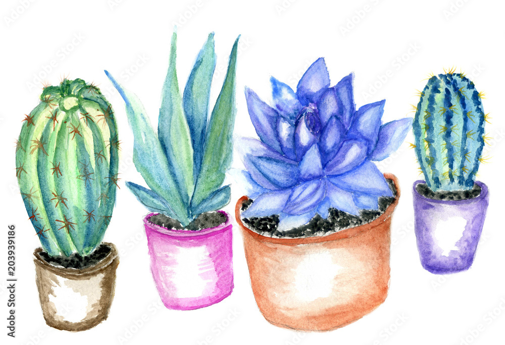 Cacti watercolor art