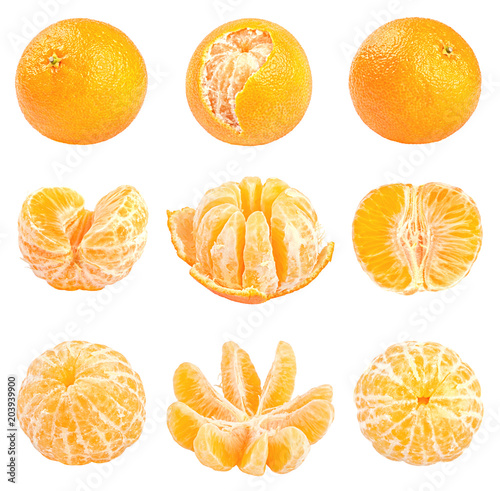 Collection of fresh mandarins isolated on white