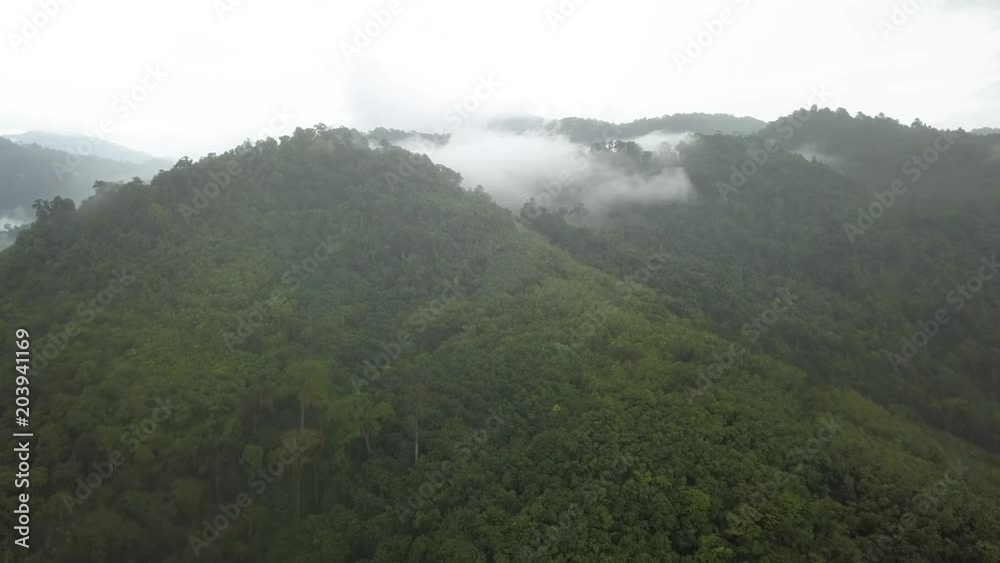 Drone aerial view of low cloud and mist hanging in a tropical rainforest valley following a recent thunderstorm Drone aerial view of low cloud and mist hanging in a tropical rainforest valley following a recent thunderstorm