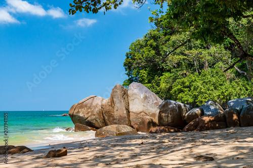 A beautiful, deserted tropical sandy beach surrounded by greenery