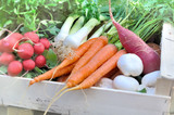 fresh vegetables  in a tray