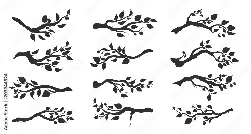 tree branches with leaves isolated tree branches with leaves isolated