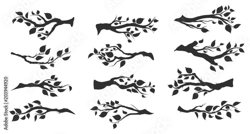Wallpaper Mural tree branches with leaves isolated Torontodigital.ca