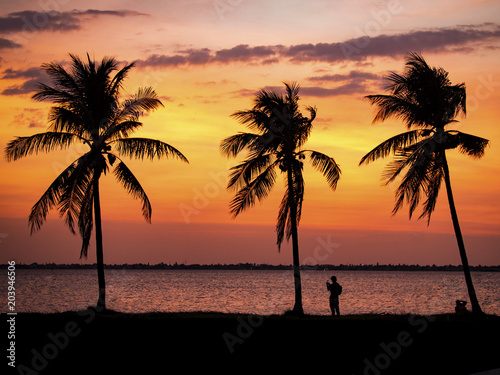Sunset and Palm Trees © Info Creates