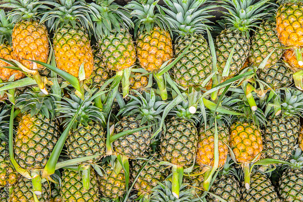 Group of Pineapple in the market.Pineapple for background. Group of Pineapple in the market.Pineapple for background.