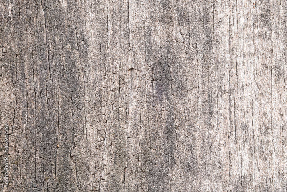 Fototapeta premium Wooden texture. background