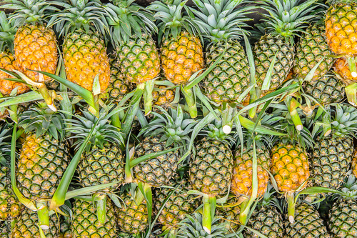 Group of Pineapple in the market.Pineapple for background.