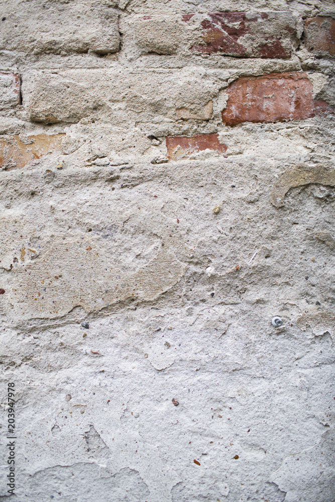 Fototapeta premium A ruined wall with copy space