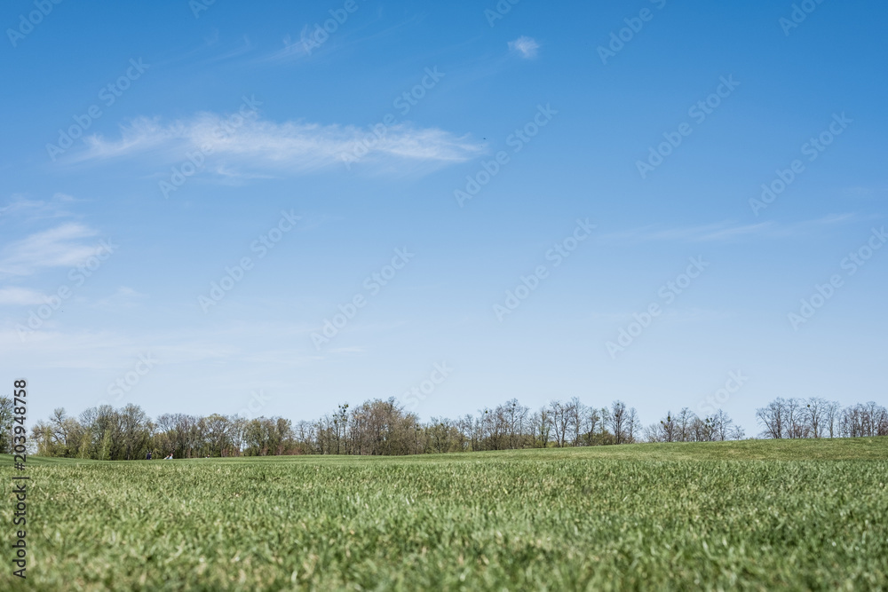 Green spring sunny city park with beautiful green grass meadow Green spring sunny city park with beautiful green grass meadow