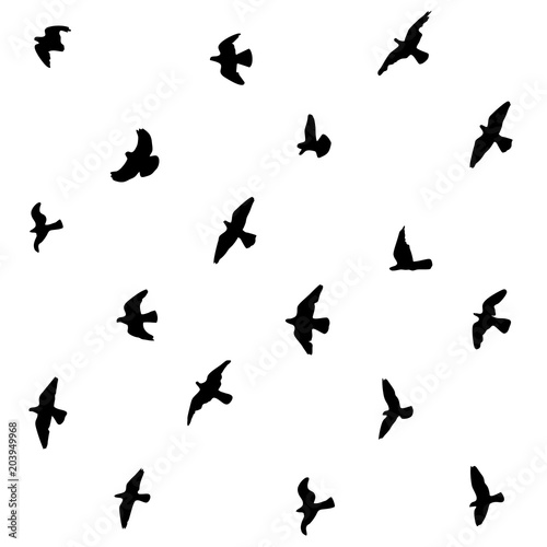 flying pigeons silhouettes seamless black and white background © Lexanda