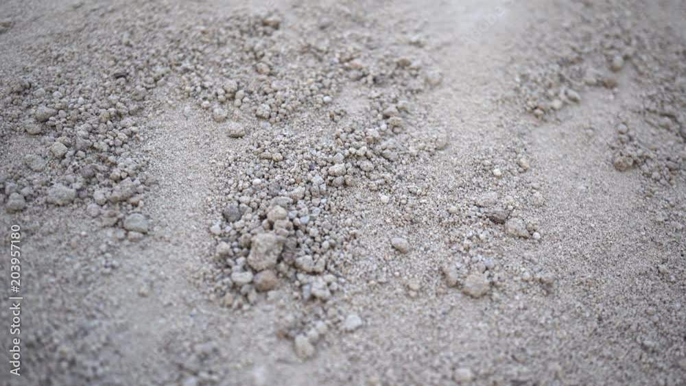 4k Macro Dry Soil Black Soil 4k Macro Dry Soil Black Soil