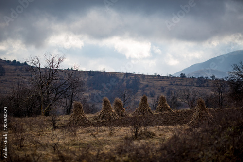 Tranquil Serbian countryside landscape with corn stem piles, hills and leafless bushes and trees. Cloudy autumn sky