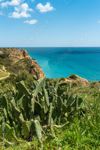 Fototapeta Naklejka Na Ścianę i Meble -  Sea coast and beaches of Lagos, Algarve, Portuga