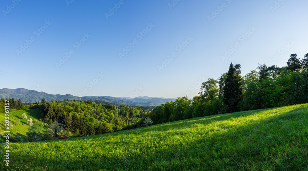 Germany, Extra large XXL panorama of black forest nature mountain landscape in springtime