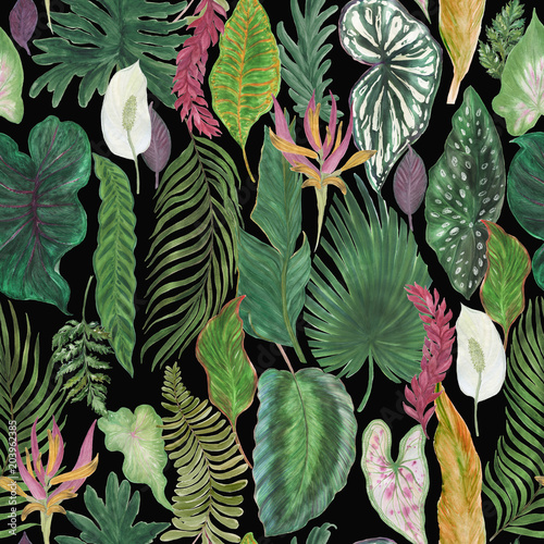 watercolor painting seamless pattern with tropical leaves. Vintage illustration