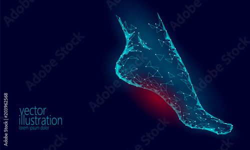 Human feet toe 3D low poly render. Polygonal blue medical healthcare painful area. Medicine poster triangle point line leg anatomical woman foot vector illustration