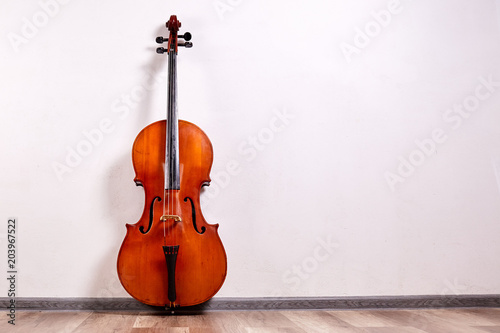 Old cello close up
