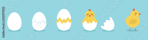 Cute vector cartoon illustration of step-by-step process baby chicken hatching from the egg. Funny and educational illustration for kids.