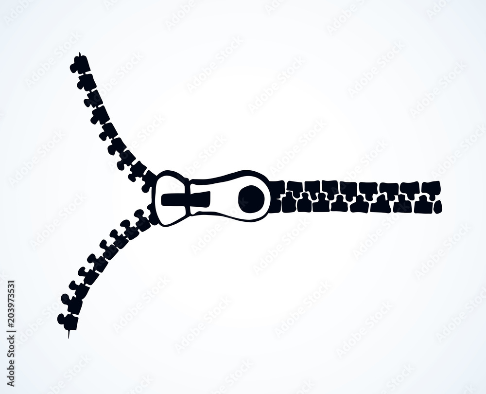 Zipper. Vector drawing Zipper. Vector drawing