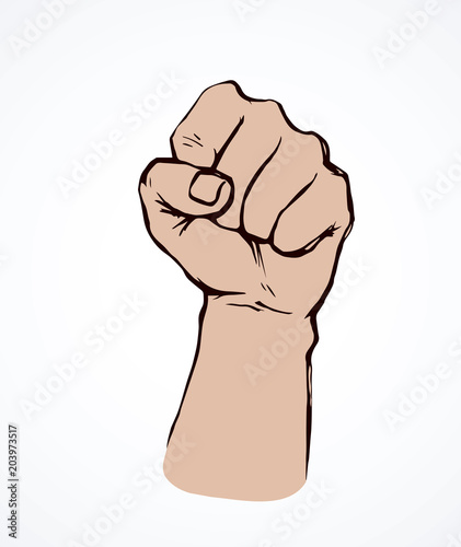 Fist. Vector drawing