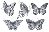 Set of beautiful hand drawn butterflies