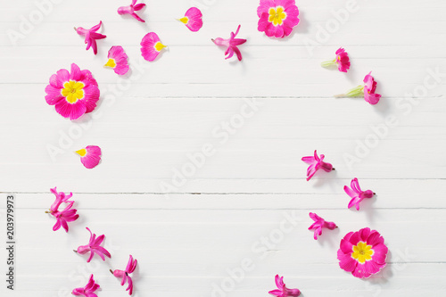 pink spring flowers on white wooden background