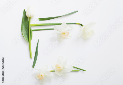 Fototapeta Naklejka Na Ścianę i Meble -  spring flowers on white background