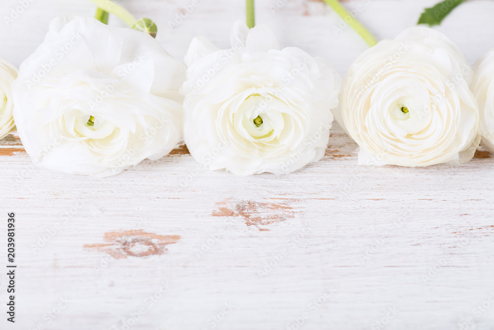 Bouquet of White Ranunculus Buttercup Flowers Bouquet of White Ranunculus Buttercup Flowers