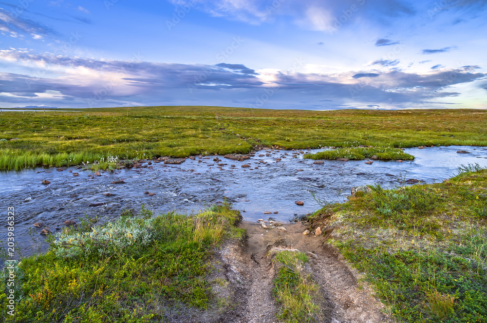 Fototapeta premium River stream flow through dirt road among field in mountains